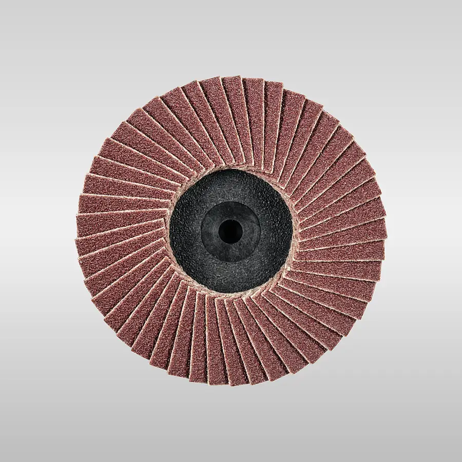 Fächerscheibe mit radial angeordneten Schleiflamellen und zentraler Aufnahme