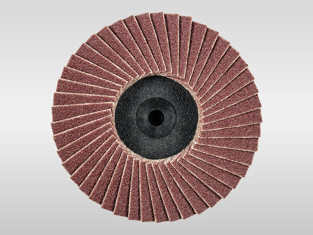 Fächerscheibe mit radial angeordneten Schleiflamellen für Winkelschleifer